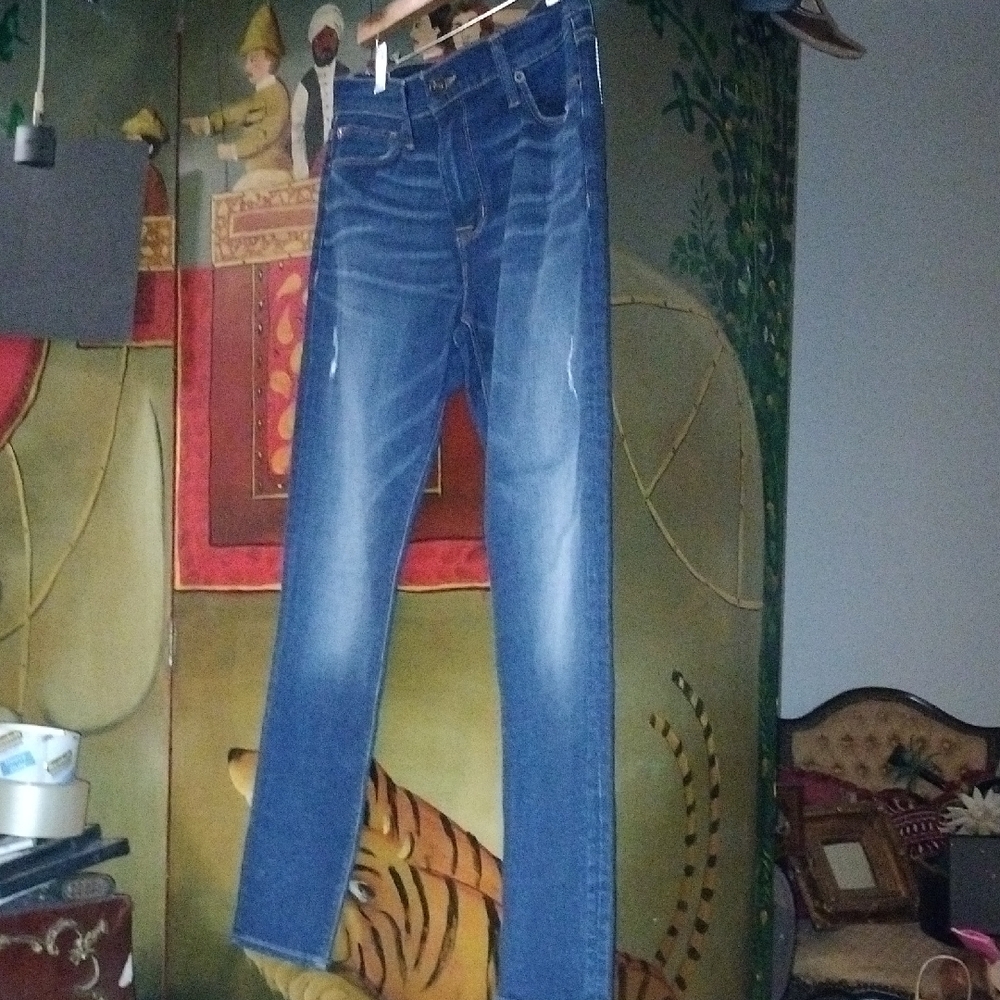 Hudson Jeans Ankle Krista Skinny Denim